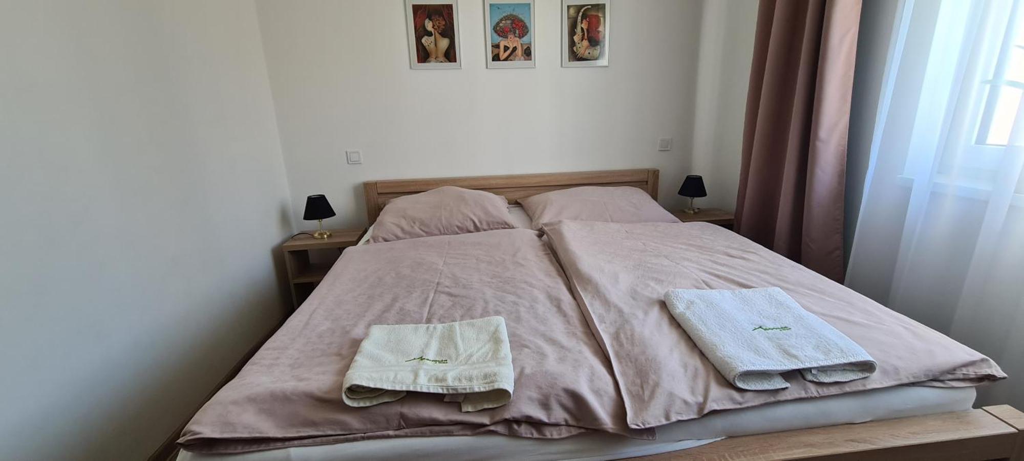 Apartman U Toma Frydlant nad Ostravici Exterior photo
